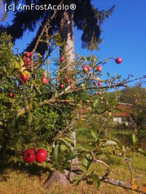 [P04] Prin curtea casei » foto by dorgo
 - 
<span class="allrVoted glyphicon glyphicon-heart hidden" id="av1226834"></span>
<a class="m-l-10 hidden" id="sv1226834" onclick="voting_Foto_DelVot(,1226834,6324)" role="button">șterge vot <span class="glyphicon glyphicon-remove"></span></a>
<a id="v91226834" class=" c-red"  onclick="voting_Foto_SetVot(1226834)" role="button"><span class="glyphicon glyphicon-heart-empty"></span> <b>LIKE</b> = Votează poza</a> <img class="hidden"  id="f1226834W9" src="/imagini/loader.gif" border="0" /><span class="AjErrMes hidden" id="e1226834ErM"></span>