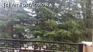 [P03] Aceasta este vederea noastră de pe balcon... (la mare)... vedere care a costat 25 € in plus » foto by Nuko
 - 
<span class="allrVoted glyphicon glyphicon-heart hidden" id="av1085749"></span>
<a class="m-l-10 hidden" id="sv1085749" onclick="voting_Foto_DelVot(,1085749,6487)" role="button">șterge vot <span class="glyphicon glyphicon-remove"></span></a>
<a id="v91085749" class=" c-red"  onclick="voting_Foto_SetVot(1085749)" role="button"><span class="glyphicon glyphicon-heart-empty"></span> <b>LIKE</b> = Votează poza</a> <img class="hidden"  id="f1085749W9" src="/imagini/loader.gif" border="0" /><span class="AjErrMes hidden" id="e1085749ErM"></span>