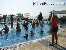 [P02]  -- <small>// FĂRĂ DESCRIERE</small> » foto by vlaval
 - 
<span class="allrVoted glyphicon glyphicon-heart hidden" id="av119121"></span>
<a class="m-l-10 hidden" id="sv119121" onclick="voting_Foto_DelVot(,119121,6487)" role="button">șterge vot <span class="glyphicon glyphicon-remove"></span></a>
<a id="v9119121" class=" c-red"  onclick="voting_Foto_SetVot(119121)" role="button"><span class="glyphicon glyphicon-heart-empty"></span> <b>LIKE</b> = Votează poza</a> <img class="hidden"  id="f119121W9" src="/imagini/loader.gif" border="0" /><span class="AjErrMes hidden" id="e119121ErM"></span>