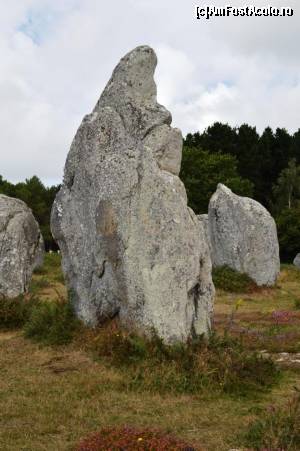 [P05] Carnac - cel mai înalt menhir, la Kermario » foto by makuy*
 - 
<span class="allrVoted glyphicon glyphicon-heart hidden" id="av553728"></span>
<a class="m-l-10 hidden" id="sv553728" onclick="voting_Foto_DelVot(,553728,6625)" role="button">șterge vot <span class="glyphicon glyphicon-remove"></span></a>
<a id="v9553728" class=" c-red"  onclick="voting_Foto_SetVot(553728)" role="button"><span class="glyphicon glyphicon-heart-empty"></span> <b>LIKE</b> = Votează poza</a> <img class="hidden"  id="f553728W9" src="/imagini/loader.gif" border="0" /><span class="AjErrMes hidden" id="e553728ErM"></span>