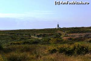 [P54] Pointe du Raz - spre Semafor!  » foto by makuy*
 - 
<span class="allrVoted glyphicon glyphicon-heart hidden" id="av573160"></span>
<a class="m-l-10 hidden" id="sv573160" onclick="voting_Foto_DelVot(,573160,6625)" role="button">șterge vot <span class="glyphicon glyphicon-remove"></span></a>
<a id="v9573160" class=" c-red"  onclick="voting_Foto_SetVot(573160)" role="button"><span class="glyphicon glyphicon-heart-empty"></span> <b>LIKE</b> = Votează poza</a> <img class="hidden"  id="f573160W9" src="/imagini/loader.gif" border="0" /><span class="AjErrMes hidden" id="e573160ErM"></span>