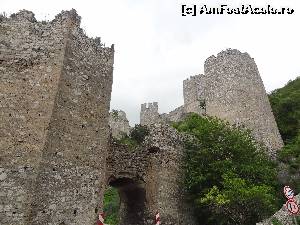 [P14] Cetatea Golubac » foto by Marian Preda
 - 
<span class="allrVoted glyphicon glyphicon-heart hidden" id="av518184"></span>
<a class="m-l-10 hidden" id="sv518184" onclick="voting_Foto_DelVot(,518184,6716)" role="button">șterge vot <span class="glyphicon glyphicon-remove"></span></a>
<a id="v9518184" class=" c-red"  onclick="voting_Foto_SetVot(518184)" role="button"><span class="glyphicon glyphicon-heart-empty"></span> <b>LIKE</b> = Votează poza</a> <img class="hidden"  id="f518184W9" src="/imagini/loader.gif" border="0" /><span class="AjErrMes hidden" id="e518184ErM"></span>