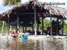 [P06] O casa tipica de indieni Warao. Constructia dureaza in jur de 24 de ore. Desigur nu au pereti. Daca nu le plac vecinii (in general neamuri) abandoneaza tot si se muta. Nu e greu sa iti construiesti o casa noua in zona asta.  » foto by liviuspopa
 - 
<span class="allrVoted glyphicon glyphicon-heart hidden" id="av396667"></span>
<a class="m-l-10 hidden" id="sv396667" onclick="voting_Foto_DelVot(,396667,6727)" role="button">șterge vot <span class="glyphicon glyphicon-remove"></span></a>
<a id="v9396667" class=" c-red"  onclick="voting_Foto_SetVot(396667)" role="button"><span class="glyphicon glyphicon-heart-empty"></span> <b>LIKE</b> = Votează poza</a> <img class="hidden"  id="f396667W9" src="/imagini/loader.gif" border="0" /><span class="AjErrMes hidden" id="e396667ErM"></span>