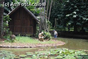 [P47] Rio de Janeiro, Grădina Botanică, Pădurea Amazoniană, Casa Pescarului, Casă tradițională amazoniană și micul lac cu același nume » foto by mprofeanu
 - 
<span class="allrVoted glyphicon glyphicon-heart hidden" id="av1154957"></span>
<a class="m-l-10 hidden" id="sv1154957" onclick="voting_Foto_DelVot(,1154957,6730)" role="button">șterge vot <span class="glyphicon glyphicon-remove"></span></a>
<a id="v91154957" class=" c-red"  onclick="voting_Foto_SetVot(1154957)" role="button"><span class="glyphicon glyphicon-heart-empty"></span> <b>LIKE</b> = Votează poza</a> <img class="hidden"  id="f1154957W9" src="/imagini/loader.gif" border="0" /><span class="AjErrMes hidden" id="e1154957ErM"></span>