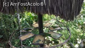 [P28]  -- <small>// FĂRĂ DESCRIERE</small> » foto by elenaadina
 - 
<span class="allrVoted glyphicon glyphicon-heart hidden" id="av1517891"></span>
<a class="m-l-10 hidden" id="sv1517891" onclick="voting_Foto_DelVot(,1517891,6751)" role="button">șterge vot <span class="glyphicon glyphicon-remove"></span></a>
<a id="v91517891" class=" c-red"  onclick="voting_Foto_SetVot(1517891)" role="button"><span class="glyphicon glyphicon-heart-empty"></span> <b>LIKE</b> = Votează poza</a> <img class="hidden"  id="f1517891W9" src="/imagini/loader.gif" border="0" /><span class="AjErrMes hidden" id="e1517891ErM"></span>