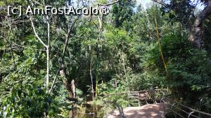 [P30]  -- <small>// FĂRĂ DESCRIERE</small> » foto by elenaadina
 - 
<span class="allrVoted glyphicon glyphicon-heart hidden" id="av1517893"></span>
<a class="m-l-10 hidden" id="sv1517893" onclick="voting_Foto_DelVot(,1517893,6751)" role="button">șterge vot <span class="glyphicon glyphicon-remove"></span></a>
<a id="v91517893" class=" c-red"  onclick="voting_Foto_SetVot(1517893)" role="button"><span class="glyphicon glyphicon-heart-empty"></span> <b>LIKE</b> = Votează poza</a> <img class="hidden"  id="f1517893W9" src="/imagini/loader.gif" border="0" /><span class="AjErrMes hidden" id="e1517893ErM"></span>