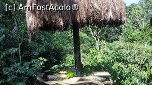 [P31]  -- <small>// FĂRĂ DESCRIERE</small> » foto by elenaadina
 - 
<span class="allrVoted glyphicon glyphicon-heart hidden" id="av1517894"></span>
<a class="m-l-10 hidden" id="sv1517894" onclick="voting_Foto_DelVot(,1517894,6751)" role="button">șterge vot <span class="glyphicon glyphicon-remove"></span></a>
<a id="v91517894" class=" c-red"  onclick="voting_Foto_SetVot(1517894)" role="button"><span class="glyphicon glyphicon-heart-empty"></span> <b>LIKE</b> = Votează poza</a> <img class="hidden"  id="f1517894W9" src="/imagini/loader.gif" border="0" /><span class="AjErrMes hidden" id="e1517894ErM"></span>