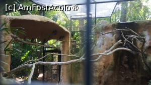 [P37]  -- <small>// FĂRĂ DESCRIERE</small> » foto by elenaadina
 - 
<span class="allrVoted glyphicon glyphicon-heart hidden" id="av1517900"></span>
<a class="m-l-10 hidden" id="sv1517900" onclick="voting_Foto_DelVot(,1517900,6751)" role="button">șterge vot <span class="glyphicon glyphicon-remove"></span></a>
<a id="v91517900" class=" c-red"  onclick="voting_Foto_SetVot(1517900)" role="button"><span class="glyphicon glyphicon-heart-empty"></span> <b>LIKE</b> = Votează poza</a> <img class="hidden"  id="f1517900W9" src="/imagini/loader.gif" border="0" /><span class="AjErrMes hidden" id="e1517900ErM"></span>