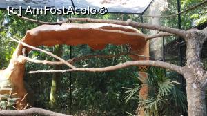 [P40]  -- <small>// FĂRĂ DESCRIERE</small> » foto by elenaadina
 - 
<span class="allrVoted glyphicon glyphicon-heart hidden" id="av1517903"></span>
<a class="m-l-10 hidden" id="sv1517903" onclick="voting_Foto_DelVot(,1517903,6751)" role="button">șterge vot <span class="glyphicon glyphicon-remove"></span></a>
<a id="v91517903" class=" c-red"  onclick="voting_Foto_SetVot(1517903)" role="button"><span class="glyphicon glyphicon-heart-empty"></span> <b>LIKE</b> = Votează poza</a> <img class="hidden"  id="f1517903W9" src="/imagini/loader.gif" border="0" /><span class="AjErrMes hidden" id="e1517903ErM"></span>