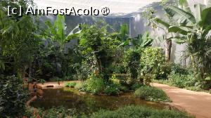 [P52]  -- <small>// FĂRĂ DESCRIERE</small> » foto by elenaadina
 - 
<span class="allrVoted glyphicon glyphicon-heart hidden" id="av1517915"></span>
<a class="m-l-10 hidden" id="sv1517915" onclick="voting_Foto_DelVot(,1517915,6751)" role="button">șterge vot <span class="glyphicon glyphicon-remove"></span></a>
<a id="v91517915" class=" c-red"  onclick="voting_Foto_SetVot(1517915)" role="button"><span class="glyphicon glyphicon-heart-empty"></span> <b>LIKE</b> = Votează poza</a> <img class="hidden"  id="f1517915W9" src="/imagini/loader.gif" border="0" /><span class="AjErrMes hidden" id="e1517915ErM"></span>