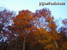 [P33] In Cheile Rasnoavei » foto by ionescunic
 - 
<span class="allrVoted glyphicon glyphicon-heart hidden" id="av153851"></span>
<a class="m-l-10 hidden" id="sv153851" onclick="voting_Foto_DelVot(,153851,6777)" role="button">șterge vot <span class="glyphicon glyphicon-remove"></span></a>
<a id="v9153851" class=" c-red"  onclick="voting_Foto_SetVot(153851)" role="button"><span class="glyphicon glyphicon-heart-empty"></span> <b>LIKE</b> = Votează poza</a> <img class="hidden"  id="f153851W9" src="/imagini/loader.gif" border="0" /><span class="AjErrMes hidden" id="e153851ErM"></span>