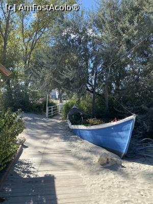 [P04] Cherhana Pontica, Constanța. » foto by Floria
 - 
<span class="allrVoted glyphicon glyphicon-heart hidden" id="av1519455"></span>
<a class="m-l-10 hidden" id="sv1519455" onclick="voting_Foto_DelVot(,1519455,6877)" role="button">șterge vot <span class="glyphicon glyphicon-remove"></span></a>
<a id="v91519455" class=" c-red"  onclick="voting_Foto_SetVot(1519455)" role="button"><span class="glyphicon glyphicon-heart-empty"></span> <b>LIKE</b> = Votează poza</a> <img class="hidden"  id="f1519455W9" src="/imagini/loader.gif" border="0" /><span class="AjErrMes hidden" id="e1519455ErM"></span>