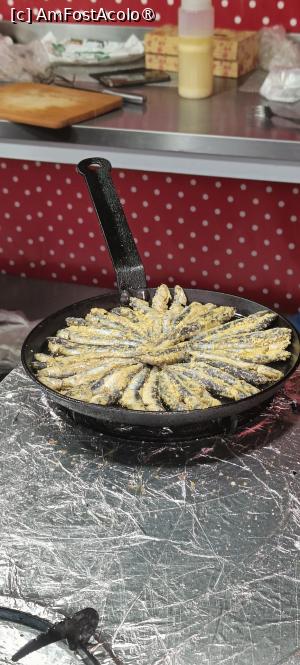 [P15] Hamsia de la târg (40 lei/tigaia). » foto by tata123 🔱
 - 
<span class="allrVoted glyphicon glyphicon-heart hidden" id="av1516325"></span>
<a class="m-l-10 hidden" id="sv1516325" onclick="voting_Foto_DelVot(,1516325,6877)" role="button">șterge vot <span class="glyphicon glyphicon-remove"></span></a>
<a id="v91516325" class=" c-red"  onclick="voting_Foto_SetVot(1516325)" role="button"><span class="glyphicon glyphicon-heart-empty"></span> <b>LIKE</b> = Votează poza</a> <img class="hidden"  id="f1516325W9" src="/imagini/loader.gif" border="0" /><span class="AjErrMes hidden" id="e1516325ErM"></span>