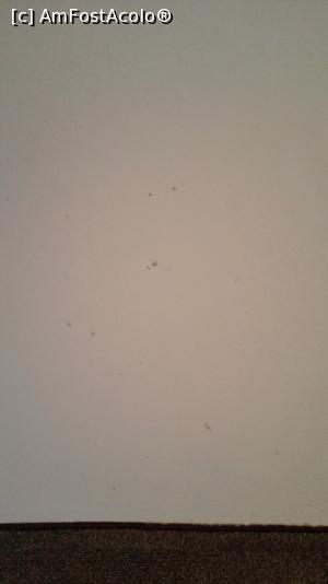 [P09] peretii patati deja » foto by m1311
 - 
<span class="allrVoted glyphicon glyphicon-heart hidden" id="av756145"></span>
<a class="m-l-10 hidden" id="sv756145" onclick="voting_Foto_DelVot(,756145,6880)" role="button">șterge vot <span class="glyphicon glyphicon-remove"></span></a>
<a id="v9756145" class=" c-red"  onclick="voting_Foto_SetVot(756145)" role="button"><span class="glyphicon glyphicon-heart-empty"></span> <b>LIKE</b> = Votează poza</a> <img class="hidden"  id="f756145W9" src="/imagini/loader.gif" border="0" /><span class="AjErrMes hidden" id="e756145ErM"></span>