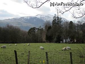 [P61] Intrăm în Trossachs. În zare încep să se contureze munții Scoției.  » foto by ariciu
 - 
<span class="allrVoted glyphicon glyphicon-heart hidden" id="av502438"></span>
<a class="m-l-10 hidden" id="sv502438" onclick="voting_Foto_DelVot(,502438,6898)" role="button">șterge vot <span class="glyphicon glyphicon-remove"></span></a>
<a id="v9502438" class=" c-red"  onclick="voting_Foto_SetVot(502438)" role="button"><span class="glyphicon glyphicon-heart-empty"></span> <b>LIKE</b> = Votează poza</a> <img class="hidden"  id="f502438W9" src="/imagini/loader.gif" border="0" /><span class="AjErrMes hidden" id="e502438ErM"></span>