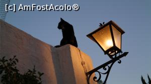 [P13]  -- <small>// FĂRĂ DESCRIERE</small> » foto by cami_dxb
 - 
<span class="allrVoted glyphicon glyphicon-heart hidden" id="av864802"></span>
<a class="m-l-10 hidden" id="sv864802" onclick="voting_Foto_DelVot(,864802,7020)" role="button">șterge vot <span class="glyphicon glyphicon-remove"></span></a>
<a id="v9864802" class=" c-red"  onclick="voting_Foto_SetVot(864802)" role="button"><span class="glyphicon glyphicon-heart-empty"></span> <b>LIKE</b> = Votează poza</a> <img class="hidden"  id="f864802W9" src="/imagini/loader.gif" border="0" /><span class="AjErrMes hidden" id="e864802ErM"></span>