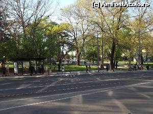 [P21] Parcul Tašmajdan, oază de verdeață în plin centru » foto by Dragoș_MD
 - 
<span class="allrVoted glyphicon glyphicon-heart hidden" id="av623762"></span>
<a class="m-l-10 hidden" id="sv623762" onclick="voting_Foto_DelVot(,623762,7062)" role="button">șterge vot <span class="glyphicon glyphicon-remove"></span></a>
<a id="v9623762" class=" c-red"  onclick="voting_Foto_SetVot(623762)" role="button"><span class="glyphicon glyphicon-heart-empty"></span> <b>LIKE</b> = Votează poza</a> <img class="hidden"  id="f623762W9" src="/imagini/loader.gif" border="0" /><span class="AjErrMes hidden" id="e623762ErM"></span>