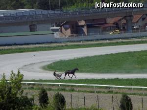 [P38] Hipodromul de lângă parcul Topčider, antrenament la trăpași » foto by Dragoș_MD
 - 
<span class="allrVoted glyphicon glyphicon-heart hidden" id="av623953"></span>
<a class="m-l-10 hidden" id="sv623953" onclick="voting_Foto_DelVot(,623953,7062)" role="button">șterge vot <span class="glyphicon glyphicon-remove"></span></a>
<a id="v9623953" class=" c-red"  onclick="voting_Foto_SetVot(623953)" role="button"><span class="glyphicon glyphicon-heart-empty"></span> <b>LIKE</b> = Votează poza</a> <img class="hidden"  id="f623953W9" src="/imagini/loader.gif" border="0" /><span class="AjErrMes hidden" id="e623953ErM"></span>