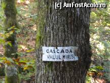 [P21] M-am convins si eu ca exista si aici acesta cascada, nu doar la Rachitele » foto by Alina Morar
 - 
<span class="allrVoted glyphicon glyphicon-heart hidden" id="av140202"></span>
<a class="m-l-10 hidden" id="sv140202" onclick="voting_Foto_DelVot(,140202,7135)" role="button">șterge vot <span class="glyphicon glyphicon-remove"></span></a>
<a id="v9140202" class=" c-red"  onclick="voting_Foto_SetVot(140202)" role="button"><span class="glyphicon glyphicon-heart-empty"></span> <b>LIKE</b> = Votează poza</a> <img class="hidden"  id="f140202W9" src="/imagini/loader.gif" border="0" /><span class="AjErrMes hidden" id="e140202ErM"></span>