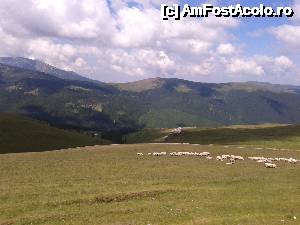 [P122] Transalpina acum, în multe imagini și puține cuvinte - Pentru că nu ne săturasem de frumusețea locurilor, ne-am reîntors pe Transalpina; E duminică, iar în peisaj, au apărut, mai aproape de noi, turme de mioare...  » foto by Lyssys
 - 
<span class="allrVoted glyphicon glyphicon-heart hidden" id="av636615"></span>
<a class="m-l-10 hidden" id="sv636615" onclick="voting_Foto_DelVot(,636615,7149)" role="button">șterge vot <span class="glyphicon glyphicon-remove"></span></a>
<a id="v9636615" class=" c-red"  onclick="voting_Foto_SetVot(636615)" role="button"><span class="glyphicon glyphicon-heart-empty"></span> <b>LIKE</b> = Votează poza</a> <img class="hidden"  id="f636615W9" src="/imagini/loader.gif" border="0" /><span class="AjErrMes hidden" id="e636615ErM"></span>