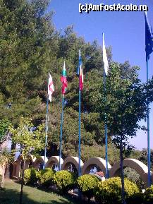 [P121] Printe steaguri, şi steagul României... » foto by Aeerdna*
 - 
<span class="allrVoted glyphicon glyphicon-heart hidden" id="av217251"></span>
<a class="m-l-10 hidden" id="sv217251" onclick="voting_Foto_DelVot(,217251,7150)" role="button">șterge vot <span class="glyphicon glyphicon-remove"></span></a>
<a id="v9217251" class=" c-red"  onclick="voting_Foto_SetVot(217251)" role="button"><span class="glyphicon glyphicon-heart-empty"></span> <b>LIKE</b> = Votează poza</a> <img class="hidden"  id="f217251W9" src="/imagini/loader.gif" border="0" /><span class="AjErrMes hidden" id="e217251ErM"></span>