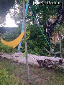 [P175] Detaliu... » foto by Aeerdna*
 - 
<span class="allrVoted glyphicon glyphicon-heart hidden" id="av217388"></span>
<a class="m-l-10 hidden" id="sv217388" onclick="voting_Foto_DelVot(,217388,7150)" role="button">șterge vot <span class="glyphicon glyphicon-remove"></span></a>
<a id="v9217388" class=" c-red"  onclick="voting_Foto_SetVot(217388)" role="button"><span class="glyphicon glyphicon-heart-empty"></span> <b>LIKE</b> = Votează poza</a> <img class="hidden"  id="f217388W9" src="/imagini/loader.gif" border="0" /><span class="AjErrMes hidden" id="e217388ErM"></span>