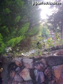 [P187] Detaliu... » foto by Aeerdna*
 - 
<span class="allrVoted glyphicon glyphicon-heart hidden" id="av217400"></span>
<a class="m-l-10 hidden" id="sv217400" onclick="voting_Foto_DelVot(,217400,7150)" role="button">șterge vot <span class="glyphicon glyphicon-remove"></span></a>
<a id="v9217400" class=" c-red"  onclick="voting_Foto_SetVot(217400)" role="button"><span class="glyphicon glyphicon-heart-empty"></span> <b>LIKE</b> = Votează poza</a> <img class="hidden"  id="f217400W9" src="/imagini/loader.gif" border="0" /><span class="AjErrMes hidden" id="e217400ErM"></span>