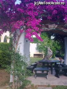 [P191] Detaliu din curtea interioară a camerelor cu 200... » foto by Aeerdna*
 - 
<span class="allrVoted glyphicon glyphicon-heart hidden" id="av217404"></span>
<a class="m-l-10 hidden" id="sv217404" onclick="voting_Foto_DelVot(,217404,7150)" role="button">șterge vot <span class="glyphicon glyphicon-remove"></span></a>
<a id="v9217404" class=" c-red"  onclick="voting_Foto_SetVot(217404)" role="button"><span class="glyphicon glyphicon-heart-empty"></span> <b>LIKE</b> = Votează poza</a> <img class="hidden"  id="f217404W9" src="/imagini/loader.gif" border="0" /><span class="AjErrMes hidden" id="e217404ErM"></span>