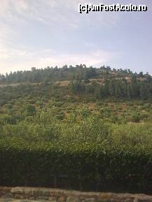 [P192] Iata o altă imagine cu drumul spre Agios Paulos... » foto by Aeerdna*
 - 
<span class="allrVoted glyphicon glyphicon-heart hidden" id="av217405"></span>
<a class="m-l-10 hidden" id="sv217405" onclick="voting_Foto_DelVot(,217405,7150)" role="button">șterge vot <span class="glyphicon glyphicon-remove"></span></a>
<a id="v9217405" class=" c-red"  onclick="voting_Foto_SetVot(217405)" role="button"><span class="glyphicon glyphicon-heart-empty"></span> <b>LIKE</b> = Votează poza</a> <img class="hidden"  id="f217405W9" src="/imagini/loader.gif" border="0" /><span class="AjErrMes hidden" id="e217405ErM"></span>