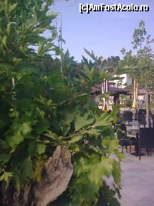 [P197] Detaliu bar maisonette... » foto by Aeerdna*
 - 
<span class="allrVoted glyphicon glyphicon-heart hidden" id="av217410"></span>
<a class="m-l-10 hidden" id="sv217410" onclick="voting_Foto_DelVot(,217410,7150)" role="button">șterge vot <span class="glyphicon glyphicon-remove"></span></a>
<a id="v9217410" class=" c-red"  onclick="voting_Foto_SetVot(217410)" role="button"><span class="glyphicon glyphicon-heart-empty"></span> <b>LIKE</b> = Votează poza</a> <img class="hidden"  id="f217410W9" src="/imagini/loader.gif" border="0" /><span class="AjErrMes hidden" id="e217410ErM"></span>