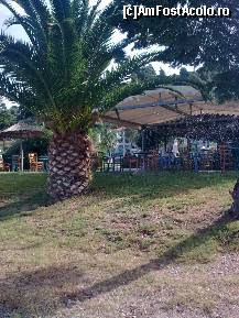 [P204] Barul hotelului Lilly Ann... vedere dinspre plajă » foto by Aeerdna*
 - 
<span class="allrVoted glyphicon glyphicon-heart hidden" id="av217419"></span>
<a class="m-l-10 hidden" id="sv217419" onclick="voting_Foto_DelVot(,217419,7150)" role="button">șterge vot <span class="glyphicon glyphicon-remove"></span></a>
<a id="v9217419" class=" c-red"  onclick="voting_Foto_SetVot(217419)" role="button"><span class="glyphicon glyphicon-heart-empty"></span> <b>LIKE</b> = Votează poza</a> <img class="hidden"  id="f217419W9" src="/imagini/loader.gif" border="0" /><span class="AjErrMes hidden" id="e217419ErM"></span>