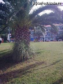 [P208] Hotel Lilly Ann » foto by Aeerdna*
 - 
<span class="allrVoted glyphicon glyphicon-heart hidden" id="av217423"></span>
<a class="m-l-10 hidden" id="sv217423" onclick="voting_Foto_DelVot(,217423,7150)" role="button">șterge vot <span class="glyphicon glyphicon-remove"></span></a>
<a id="v9217423" class=" c-red"  onclick="voting_Foto_SetVot(217423)" role="button"><span class="glyphicon glyphicon-heart-empty"></span> <b>LIKE</b> = Votează poza</a> <img class="hidden"  id="f217423W9" src="/imagini/loader.gif" border="0" /><span class="AjErrMes hidden" id="e217423ErM"></span>