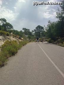 [P236] Mai multe capre la păşunat, spre Agios Paulos... » foto by Aeerdna*
 - 
<span class="allrVoted glyphicon glyphicon-heart hidden" id="av217460"></span>
<a class="m-l-10 hidden" id="sv217460" onclick="voting_Foto_DelVot(,217460,7150)" role="button">șterge vot <span class="glyphicon glyphicon-remove"></span></a>
<a id="v9217460" class=" c-red"  onclick="voting_Foto_SetVot(217460)" role="button"><span class="glyphicon glyphicon-heart-empty"></span> <b>LIKE</b> = Votează poza</a> <img class="hidden"  id="f217460W9" src="/imagini/loader.gif" border="0" /><span class="AjErrMes hidden" id="e217460ErM"></span>