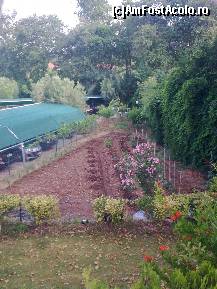 [P251] În spatele parcării 'Armonia', pământul se sapă şi se cultivă cu legume... Ei bine, chestia astam-aimpresionat! » foto by Aeerdna*
 - 
<span class="allrVoted glyphicon glyphicon-heart hidden" id="av217475"></span>
<a class="m-l-10 hidden" id="sv217475" onclick="voting_Foto_DelVot(,217475,7150)" role="button">șterge vot <span class="glyphicon glyphicon-remove"></span></a>
<a id="v9217475" class=" c-red"  onclick="voting_Foto_SetVot(217475)" role="button"><span class="glyphicon glyphicon-heart-empty"></span> <b>LIKE</b> = Votează poza</a> <img class="hidden"  id="f217475W9" src="/imagini/loader.gif" border="0" /><span class="AjErrMes hidden" id="e217475ErM"></span>