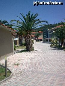 [P284] Lagomandra Golden Beach » foto by Aeerdna*
 - 
<span class="allrVoted glyphicon glyphicon-heart hidden" id="av217534"></span>
<a class="m-l-10 hidden" id="sv217534" onclick="voting_Foto_DelVot(,217534,7150)" role="button">șterge vot <span class="glyphicon glyphicon-remove"></span></a>
<a id="v9217534" class=" c-red"  onclick="voting_Foto_SetVot(217534)" role="button"><span class="glyphicon glyphicon-heart-empty"></span> <b>LIKE</b> = Votează poza</a> <img class="hidden"  id="f217534W9" src="/imagini/loader.gif" border="0" /><span class="AjErrMes hidden" id="e217534ErM"></span>