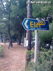 [P317] Indicator de apartamente... » foto by Aeerdna*
 - 
<span class="allrVoted glyphicon glyphicon-heart hidden" id="av217621"></span>
<a class="m-l-10 hidden" id="sv217621" onclick="voting_Foto_DelVot(,217621,7150)" role="button">șterge vot <span class="glyphicon glyphicon-remove"></span></a>
<a id="v9217621" class=" c-red"  onclick="voting_Foto_SetVot(217621)" role="button"><span class="glyphicon glyphicon-heart-empty"></span> <b>LIKE</b> = Votează poza</a> <img class="hidden"  id="f217621W9" src="/imagini/loader.gif" border="0" /><span class="AjErrMes hidden" id="e217621ErM"></span>