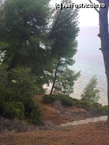 [P319] Detaliu... malul marii Elia » foto by Aeerdna*
 - 
<span class="allrVoted glyphicon glyphicon-heart hidden" id="av217623"></span>
<a class="m-l-10 hidden" id="sv217623" onclick="voting_Foto_DelVot(,217623,7150)" role="button">șterge vot <span class="glyphicon glyphicon-remove"></span></a>
<a id="v9217623" class=" c-red"  onclick="voting_Foto_SetVot(217623)" role="button"><span class="glyphicon glyphicon-heart-empty"></span> <b>LIKE</b> = Votează poza</a> <img class="hidden"  id="f217623W9" src="/imagini/loader.gif" border="0" /><span class="AjErrMes hidden" id="e217623ErM"></span>