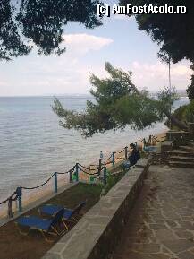 [P323] Partea dinspre plaja ahotelului Virginia (coboara in panta repede)... » foto by Aeerdna*
 - 
<span class="allrVoted glyphicon glyphicon-heart hidden" id="av217649"></span>
<a class="m-l-10 hidden" id="sv217649" onclick="voting_Foto_DelVot(,217649,7150)" role="button">șterge vot <span class="glyphicon glyphicon-remove"></span></a>
<a id="v9217649" class=" c-red"  onclick="voting_Foto_SetVot(217649)" role="button"><span class="glyphicon glyphicon-heart-empty"></span> <b>LIKE</b> = Votează poza</a> <img class="hidden"  id="f217649W9" src="/imagini/loader.gif" border="0" /><span class="AjErrMes hidden" id="e217649ErM"></span>