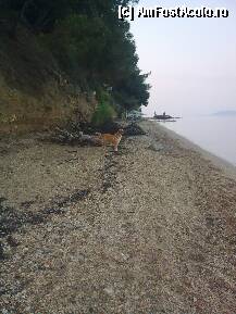 [P329] Aceeaşi problemă:îngrijorarea căţeluşei... » foto by Aeerdna*
 - 
<span class="allrVoted glyphicon glyphicon-heart hidden" id="av217669"></span>
<a class="m-l-10 hidden" id="sv217669" onclick="voting_Foto_DelVot(,217669,7150)" role="button">șterge vot <span class="glyphicon glyphicon-remove"></span></a>
<a id="v9217669" class=" c-red"  onclick="voting_Foto_SetVot(217669)" role="button"><span class="glyphicon glyphicon-heart-empty"></span> <b>LIKE</b> = Votează poza</a> <img class="hidden"  id="f217669W9" src="/imagini/loader.gif" border="0" /><span class="AjErrMes hidden" id="e217669ErM"></span>