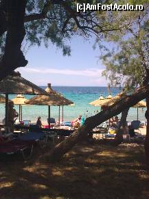 [P380] Kalogria Beach - plaja hotelului Mango » foto by Aeerdna*
 - 
<span class="allrVoted glyphicon glyphicon-heart hidden" id="av219075"></span>
<a class="m-l-10 hidden" id="sv219075" onclick="voting_Foto_DelVot(,219075,7150)" role="button">șterge vot <span class="glyphicon glyphicon-remove"></span></a>
<a id="v9219075" class=" c-red"  onclick="voting_Foto_SetVot(219075)" role="button"><span class="glyphicon glyphicon-heart-empty"></span> <b>LIKE</b> = Votează poza</a> <img class="hidden"  id="f219075W9" src="/imagini/loader.gif" border="0" /><span class="AjErrMes hidden" id="e219075ErM"></span>