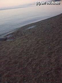 [P85] Cum arată plaja şi marea, dimineaţă la ora 6:00... » foto by Aeerdna*
 - 
<span class="allrVoted glyphicon glyphicon-heart hidden" id="av217151"></span>
<a class="m-l-10 hidden" id="sv217151" onclick="voting_Foto_DelVot(,217151,7150)" role="button">șterge vot <span class="glyphicon glyphicon-remove"></span></a>
<a id="v9217151" class=" c-red"  onclick="voting_Foto_SetVot(217151)" role="button"><span class="glyphicon glyphicon-heart-empty"></span> <b>LIKE</b> = Votează poza</a> <img class="hidden"  id="f217151W9" src="/imagini/loader.gif" border="0" /><span class="AjErrMes hidden" id="e217151ErM"></span>