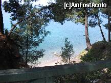 [P09] plaja » foto by neagu
 - 
<span class="allrVoted glyphicon glyphicon-heart hidden" id="av207461"></span>
<a class="m-l-10 hidden" id="sv207461" onclick="voting_Foto_DelVot(,207461,7150)" role="button">șterge vot <span class="glyphicon glyphicon-remove"></span></a>
<a id="v9207461" class=" c-red"  onclick="voting_Foto_SetVot(207461)" role="button"><span class="glyphicon glyphicon-heart-empty"></span> <b>LIKE</b> = Votează poza</a> <img class="hidden"  id="f207461W9" src="/imagini/loader.gif" border="0" /><span class="AjErrMes hidden" id="e207461ErM"></span>