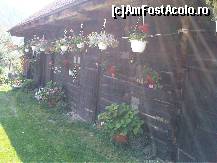 [P10] imagine din curtea pensiunii » foto by silvia tudoran
 - 
<span class="allrVoted glyphicon glyphicon-heart hidden" id="av363492"></span>
<a class="m-l-10 hidden" id="sv363492" onclick="voting_Foto_DelVot(,363492,7152)" role="button">șterge vot <span class="glyphicon glyphicon-remove"></span></a>
<a id="v9363492" class=" c-red"  onclick="voting_Foto_SetVot(363492)" role="button"><span class="glyphicon glyphicon-heart-empty"></span> <b>LIKE</b> = Votează poza</a> <img class="hidden"  id="f363492W9" src="/imagini/loader.gif" border="0" /><span class="AjErrMes hidden" id="e363492ErM"></span>