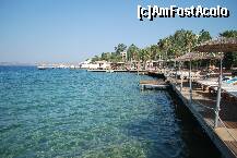 [P03] beach » foto by oana_r
 - 
<span class="allrVoted glyphicon glyphicon-heart hidden" id="av127720"></span>
<a class="m-l-10 hidden" id="sv127720" onclick="voting_Foto_DelVot(,127720,7207)" role="button">șterge vot <span class="glyphicon glyphicon-remove"></span></a>
<a id="v9127720" class=" c-red"  onclick="voting_Foto_SetVot(127720)" role="button"><span class="glyphicon glyphicon-heart-empty"></span> <b>LIKE</b> = Votează poza</a> <img class="hidden"  id="f127720W9" src="/imagini/loader.gif" border="0" /><span class="AjErrMes hidden" id="e127720ErM"></span>