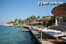 [P05] beach » foto by oana_r
 - 
<span class="allrVoted glyphicon glyphicon-heart hidden" id="av127724"></span>
<a class="m-l-10 hidden" id="sv127724" onclick="voting_Foto_DelVot(,127724,7207)" role="button">șterge vot <span class="glyphicon glyphicon-remove"></span></a>
<a id="v9127724" class=" c-red"  onclick="voting_Foto_SetVot(127724)" role="button"><span class="glyphicon glyphicon-heart-empty"></span> <b>LIKE</b> = Votează poza</a> <img class="hidden"  id="f127724W9" src="/imagini/loader.gif" border="0" /><span class="AjErrMes hidden" id="e127724ErM"></span>