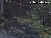 [P23] Zona e ingradita doar cu o simpla banda » foto by Alina Morar
 - 
<span class="allrVoted glyphicon glyphicon-heart hidden" id="av128530"></span>
<a class="m-l-10 hidden" id="sv128530" onclick="voting_Foto_DelVot(,128530,7213)" role="button">șterge vot <span class="glyphicon glyphicon-remove"></span></a>
<a id="v9128530" class=" c-red"  onclick="voting_Foto_SetVot(128530)" role="button"><span class="glyphicon glyphicon-heart-empty"></span> <b>LIKE</b> = Votează poza</a> <img class="hidden"  id="f128530W9" src="/imagini/loader.gif" border="0" /><span class="AjErrMes hidden" id="e128530ErM"></span>