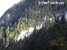 [P25]  -- <small>// FĂRĂ DESCRIERE</small> » foto by Alina Morar
 - 
<span class="allrVoted glyphicon glyphicon-heart hidden" id="av128542"></span>
<a class="m-l-10 hidden" id="sv128542" onclick="voting_Foto_DelVot(,128542,7213)" role="button">șterge vot <span class="glyphicon glyphicon-remove"></span></a>
<a id="v9128542" class=" c-red"  onclick="voting_Foto_SetVot(128542)" role="button"><span class="glyphicon glyphicon-heart-empty"></span> <b>LIKE</b> = Votează poza</a> <img class="hidden"  id="f128542W9" src="/imagini/loader.gif" border="0" /><span class="AjErrMes hidden" id="e128542ErM"></span>