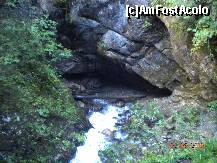 [P39]  -- <small>// FĂRĂ DESCRIERE</small> » foto by Alina Morar
 - 
<span class="allrVoted glyphicon glyphicon-heart hidden" id="av128556"></span>
<a class="m-l-10 hidden" id="sv128556" onclick="voting_Foto_DelVot(,128556,7213)" role="button">șterge vot <span class="glyphicon glyphicon-remove"></span></a>
<a id="v9128556" class=" c-red"  onclick="voting_Foto_SetVot(128556)" role="button"><span class="glyphicon glyphicon-heart-empty"></span> <b>LIKE</b> = Votează poza</a> <img class="hidden"  id="f128556W9" src="/imagini/loader.gif" border="0" /><span class="AjErrMes hidden" id="e128556ErM"></span>