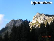 [P47] Pietrele Albe » foto by Alina Morar
 - 
<span class="allrVoted glyphicon glyphicon-heart hidden" id="av128564"></span>
<a class="m-l-10 hidden" id="sv128564" onclick="voting_Foto_DelVot(,128564,7213)" role="button">șterge vot <span class="glyphicon glyphicon-remove"></span></a>
<a id="v9128564" class=" c-red"  onclick="voting_Foto_SetVot(128564)" role="button"><span class="glyphicon glyphicon-heart-empty"></span> <b>LIKE</b> = Votează poza</a> <img class="hidden"  id="f128564W9" src="/imagini/loader.gif" border="0" /><span class="AjErrMes hidden" id="e128564ErM"></span>