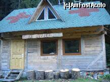 [P50]  -- <small>// FĂRĂ DESCRIERE</small> » foto by Alina Morar
 - 
<span class="allrVoted glyphicon glyphicon-heart hidden" id="av128567"></span>
<a class="m-l-10 hidden" id="sv128567" onclick="voting_Foto_DelVot(,128567,7213)" role="button">șterge vot <span class="glyphicon glyphicon-remove"></span></a>
<a id="v9128567" class=" c-red"  onclick="voting_Foto_SetVot(128567)" role="button"><span class="glyphicon glyphicon-heart-empty"></span> <b>LIKE</b> = Votează poza</a> <img class="hidden"  id="f128567W9" src="/imagini/loader.gif" border="0" /><span class="AjErrMes hidden" id="e128567ErM"></span>